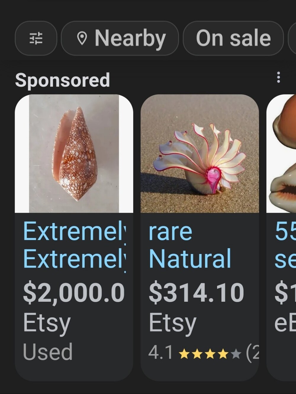 Random Shells - Picture 11 of 15